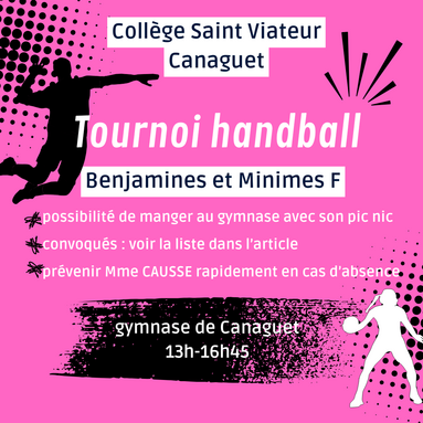 Handball-Instagram-Post im Grunge-Stil in Flieder Schwarz Weiss  (2).png